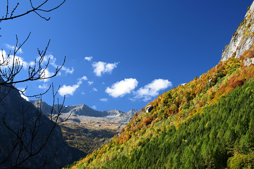 Picture of Valmasino in Autumn