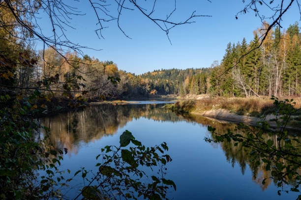istock forest river in autumn colored country 1060056406