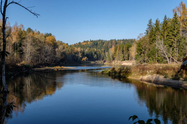 istock forest river in autumn colored country 1060056432