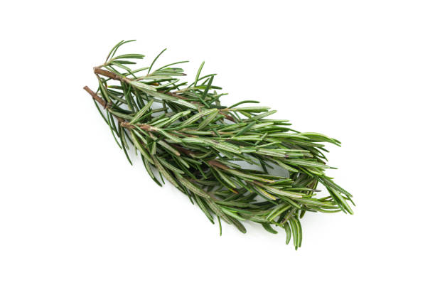 istock rosemary on isolated white background 1060059944