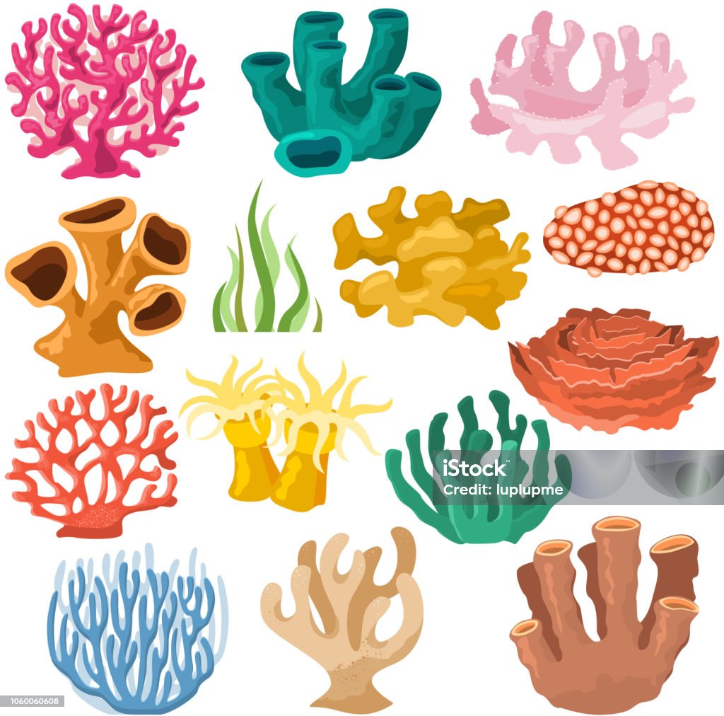 Vector corail mer cooralreef coralliennes ou exotique sous-marin illustr - clipart vectoriel de Corail - Cnidaire libre de droits