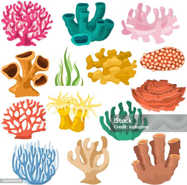 Vector Corail Mer Cooralreef Coralliennes Ou Exotique Sousmarin Illustr Vecteurs libres de droits et plus d'images vectorielles de Corail - Cnidaire