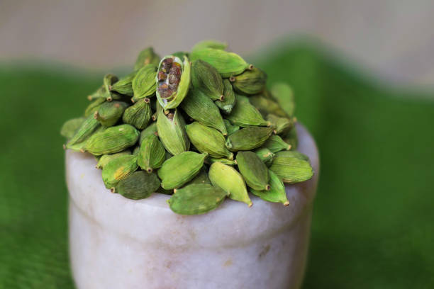 closeup of a cardamon pod with white and green background - cardamom plant spice green imagens e fotografias de stock