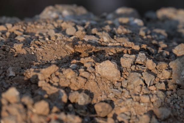 istock background of rock 1060076956