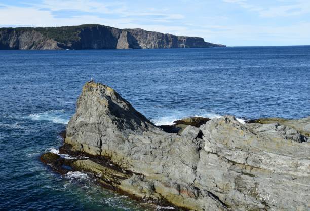 istock coastal landscape near Torbay, Silver Mine Head Path; East Coast trail 1060079694