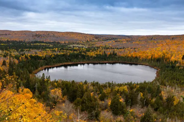 A lake surrounded by the fall colors.