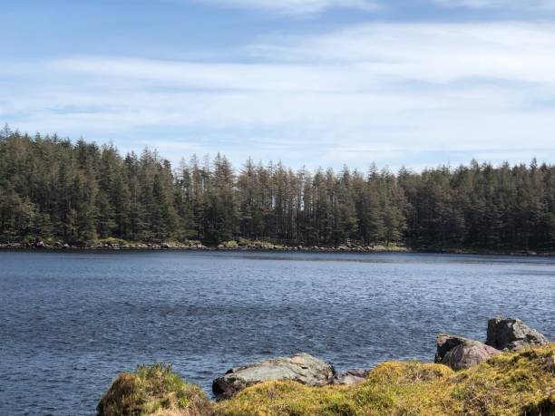 istock Summer time at the lake 1060082176