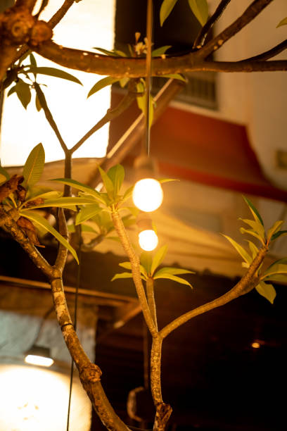 istock A small light bulb for decoration in the house 1060082302