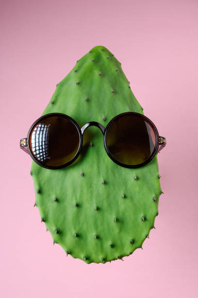 istock Green cactus with sunglasses on pink background. Creative minima 1060092984