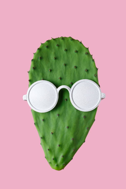 istock Green cactus with white sunglasses on pink background. Creative 1060093274