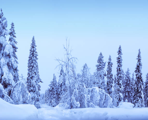 istock Horizontal winter Lapland landscape background 1060094766