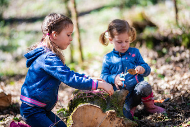 istock Two little girls playing on a tree stump 1060115788