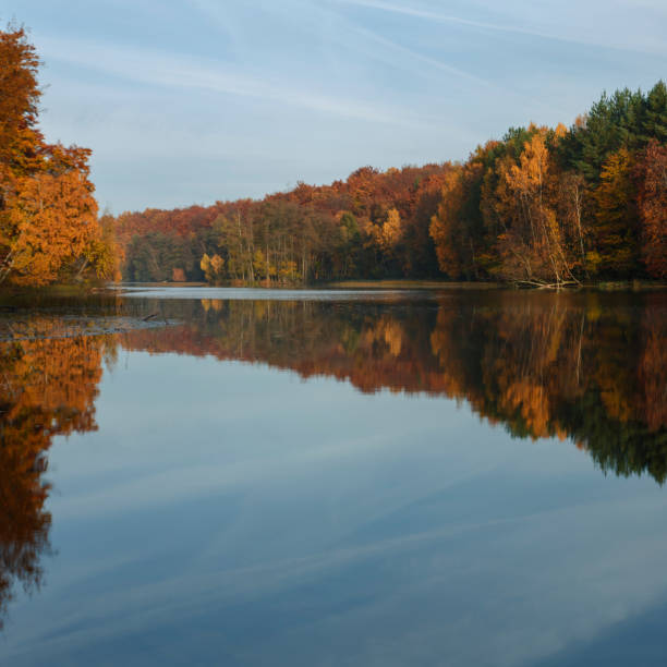 istock Autumn beauty of nature 1060120772