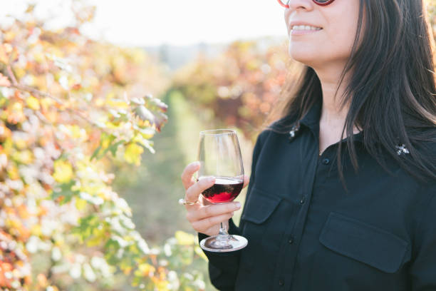 istock woman testing vine in the vineyard 1060136346