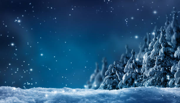 bosque de invierno cubierto de nieve por la noche - christmas landscape fotografías e imágenes de stock