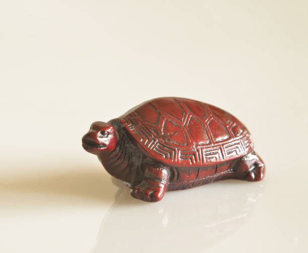 istock small terra cotta turtle, brown color 1060144408