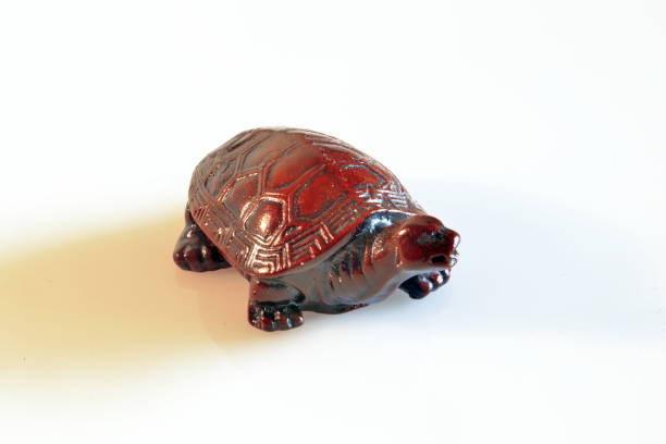 istock small terra cotta turtle, brown color 1060144462