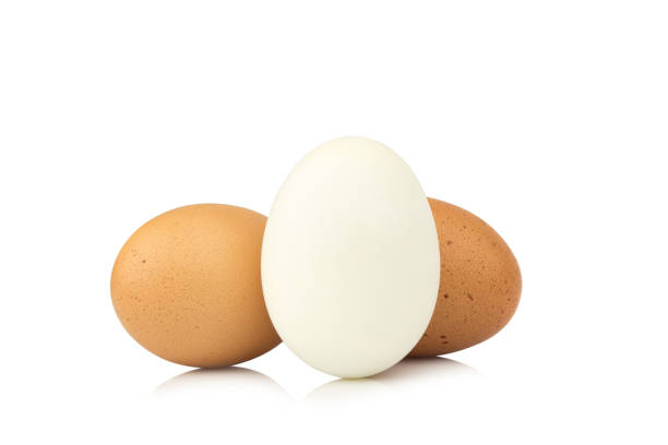 istock egg white and brown. egg duck and chicken isolated on white background 1060149212