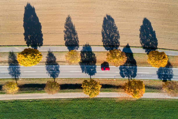 istock Red Car on Autumn Road, Aerial View 1060154120