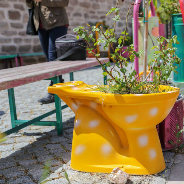 an interesting flowerpot in an old toilet bowl