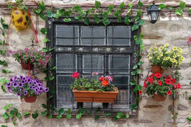 istock beautiful window with a beautiful wall with flowers 1060164578