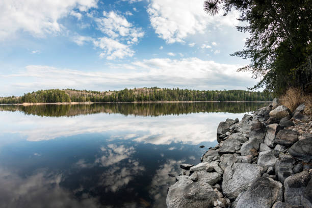 The Shores of Voyageurs National Park stock photo