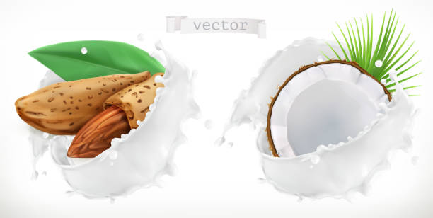 ilustrações de stock, clip art, desenhos animados e ícones de almond, coconut and milk splash. 3d realistic vector - malt white background alcohol drink