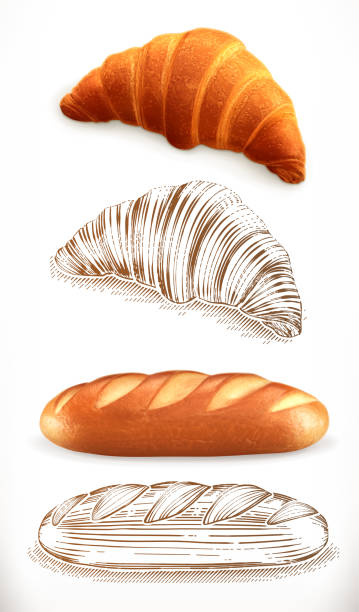 ilustrações, clipart, desenhos animados e ícones de pão. croissant, pão. 3d realismo e estilos de gravura. ilustração vetorial - bread white background isolated loaf of bread