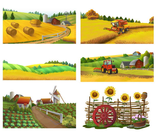 illustrations, cliparts, dessins animés et icônes de ferme, paysage rural, set vector - agriculture field tractor landscape