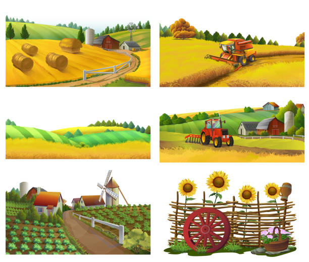 illustrazioni stock, clip art, cartoni animati e icone di tendenza di fattoria, paesaggio rurale, set vettoriale - agriculture field tractor landscape