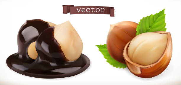 Hazelnut in chocolate. 3d realistic vector icon Hazelnut in chocolate. 3d realistic vector icon hyperrealism stock illustrations