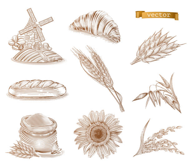 illustrations, cliparts, dessins animés et icônes de moulin, blé et pain. à l’ancienne. gravure icon set vector - bread white background isolated loaf of bread