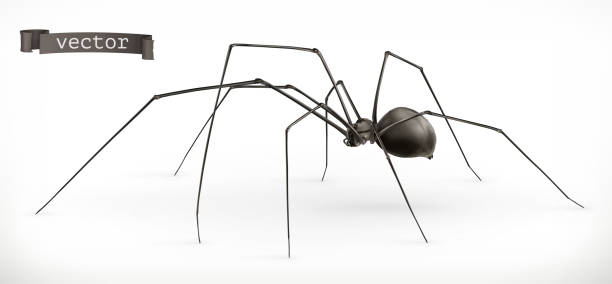 реалистичный паук, хэллоуин. значок 3d вектора - black widow spider stock illustrations