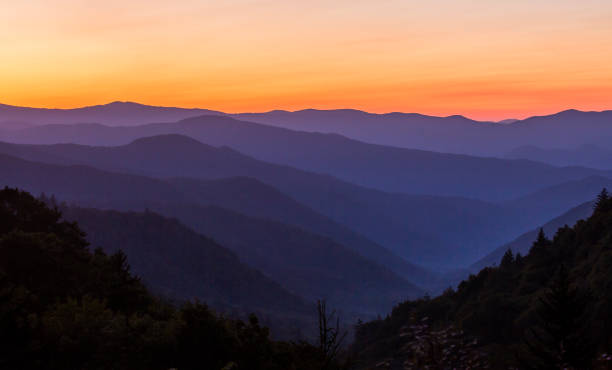 Sunrise in Great Smoky Mountains National Park (North Carolina). stock photo