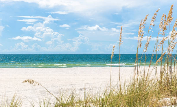 spiaggia di st. pete in florida, stati uniti - costa del golfo degli stati uniti damerica foto e immagini stock