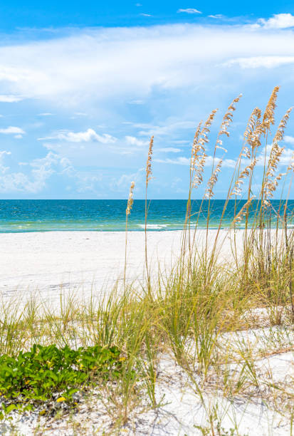 istock St. Pete beach in Florida, USA 1060183480