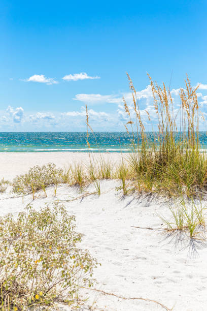 istock St. Pete beach in Florida, USA 1060183500