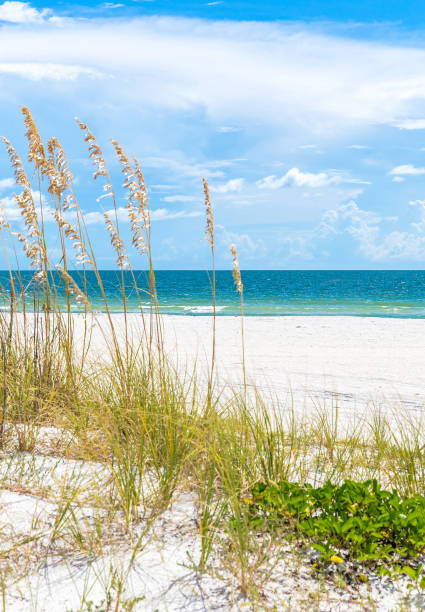 istock St. Pete beach in Florida, USA 1060183514