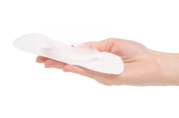 istock Sanitary pads menstruation white feather in hand 1060184518