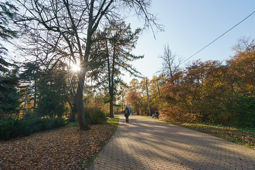 Autumn is time for relaxation and walking in the public park