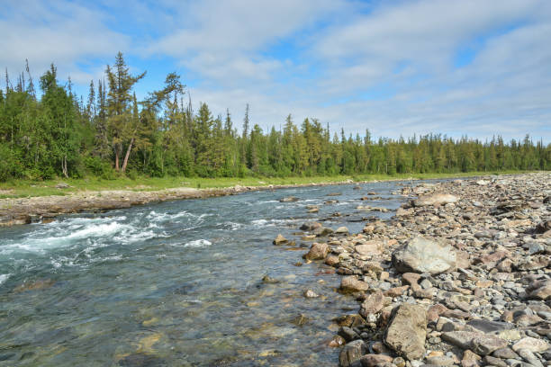 istock River rapids in the Polar Urals. 1060190516