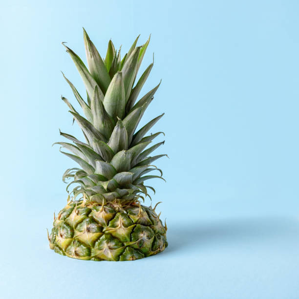 istock Pineapple tropical island on bright blue background. Minimal sum 1060193562
