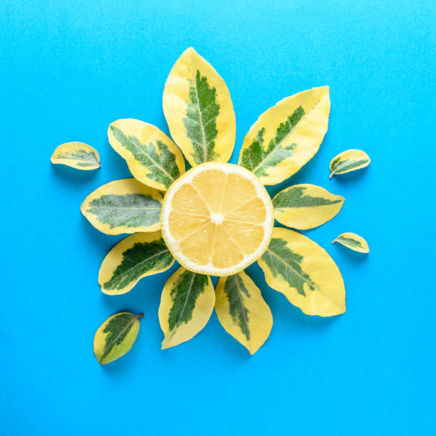 istock Creative summer pattern made of lemon and green leaves on blue b 1060193574