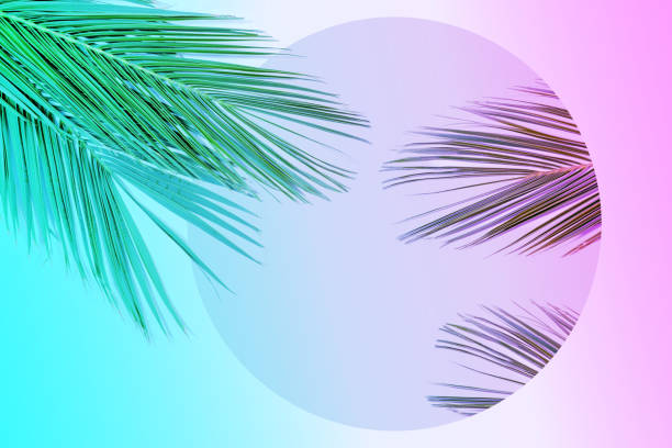 istock Tropical palm leaves in vibrant gradient neon colors. 1060193708