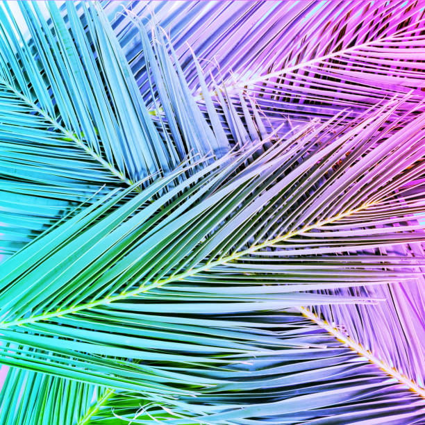 istock Tropical palm leaves in vibrant gradient neon colors. 1060193716