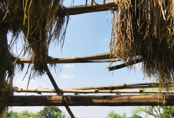 istock Skyview from Thatch Roof in a farm 1060196928