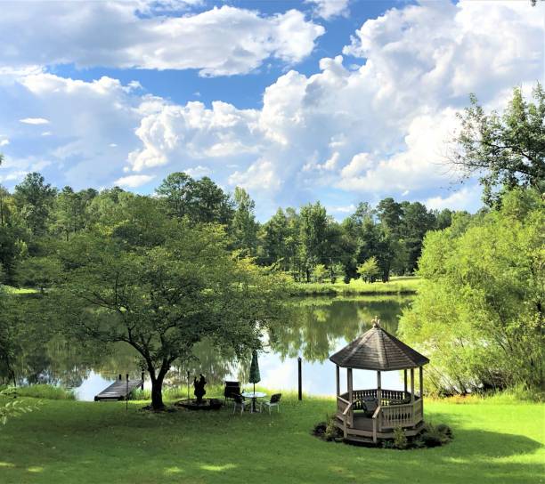 istock Garden, Pond and beautiful sky 1060199886