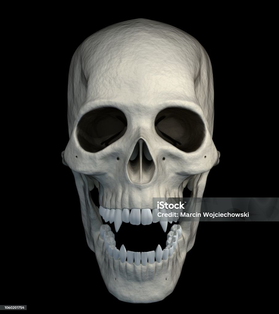 Hộp Sọ Ma Cà Rồng Hình ảnh Sẵn có - Tải xuống Hình ảnh Ngay bây ...