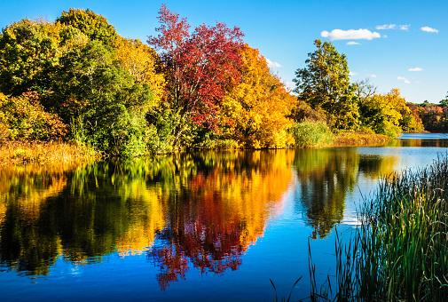 Autumn foliage colors are reflected onto the surface of Shawme Pond in Sandwich, Massachusetts on an October afternoon.