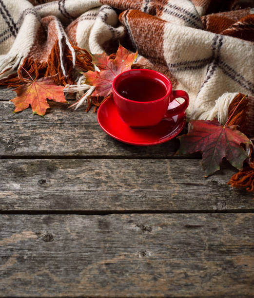istock Autumn background with cup of tea, plaid and leaves 1060210542
